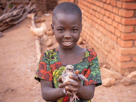 Two “Cheep” and Adorable Chicks